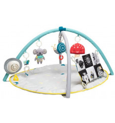 ALL AROUND ME GYM 25