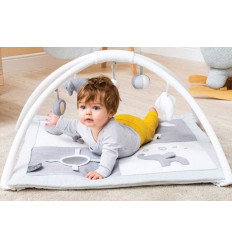 TAPIS +ARCHES 241
