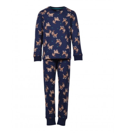 JONGENS-HEREN PYJAMA D BLAUW GEIT 2A 201