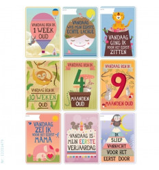 MILESTONE BABY CARDS NL
