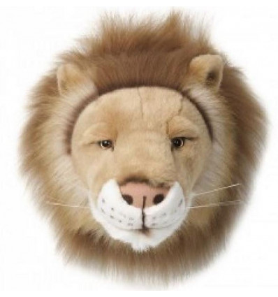 TETE DE LION 6