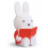 MIFFY LIVRE ROUGE TIRELIRE 21