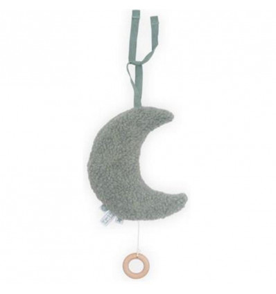MUZIEKHANGER MOON ASH GREEN 22