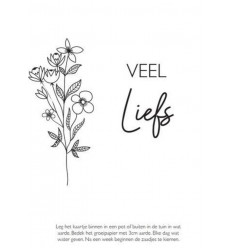 LET LOVE GROW WISHES IN A TUBE WITH 20