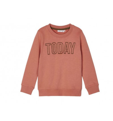 NAME IT SWEATSHIRT APRICOT BRANDY 110 21