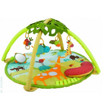 GIRAFFE SAFARI ACTIVITY GYM 4