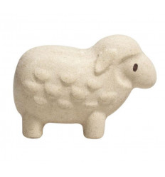 SCHAAP 12M+ 21