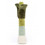 VIVACIOUS VEGETABLE LEEK 24