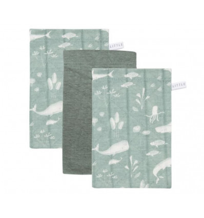 WASHAND OCEAN MINT 21