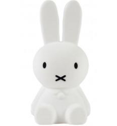 BUNDLE OF LIGHT MIFFY 22