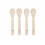 SPOON SET PP/CEL GARDEN EXPLORER 25