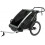 DIVERSEN THULE