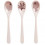 SPOON 3 PCS SEA FRIENDS POWDER 21