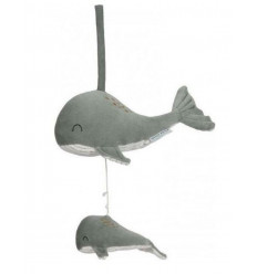 LD MUZIEKDOOSJE WALVIS OCEAN MINT 211