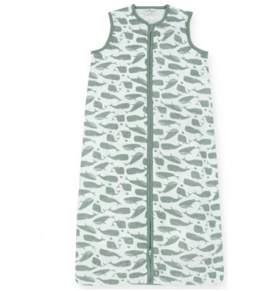 GIGOTEUSE ETE 90CM WHALES ASH GREEN 22