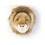 TETE LION CESAR 211