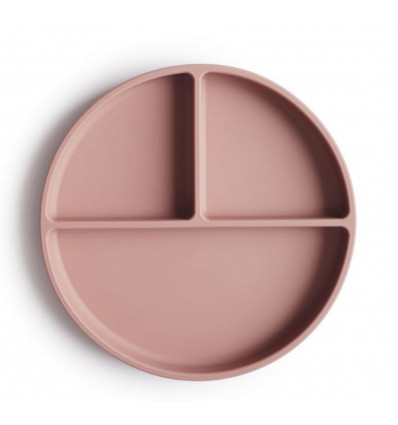 SILICONE PLATE BLUSH 24