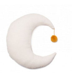 PIERROT MOON CUSHION NATURAL 21