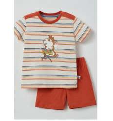 JONGENS PYJAMA MULTICOLOR STREPEN 3M 21