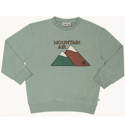 MOUNTAIN AIR SWEATER WT PRINT 86/92 21