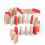 DODO DOMINO TUSCANY ROSE MULTI MIX 21