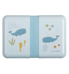 LUNCH BOX OCEAN 21
