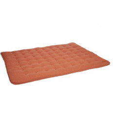 TAPIS PARC 75 X 95 PURE RUST 23