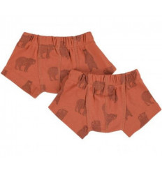 BOXERS 2-PACK 98 3Y BRAVE BEAR 221
