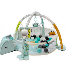 TRYCO BALL PIT ACTIVITY GYM -FROG 23