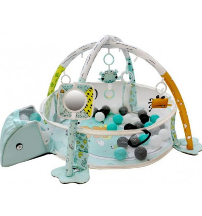 TRYCO BALL PIT ACTIVITY GYM -FROG 23