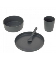 DISH SET PP/CELLUL UNI ANTHRAC 24
