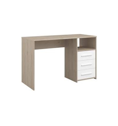 LIAM BUREAU 6