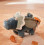 T&S OPS PELUCHE D'ACTIVITES VELOUD 25