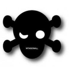 TABLEAU MAGNETIQUE PIRATE PETIT 2