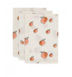 TETRA/ HYDROFIEL WASHANDJE PEACH 22