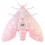 ROOKMELDER LENTO ORIGINAL PINK 3