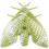 ROOKMELDER LENTO ORIGINAL STRIPE GREEN 3