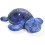 TRANQUIL TURTLE PURPLE 4