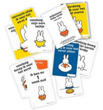 NIJNTJE BABY CARDS - NL VERSIE LOS
