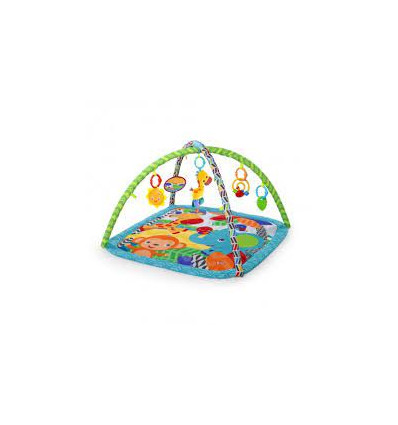 CLASSIC ZIPPITY ZOO ACTIVITY GYM 22