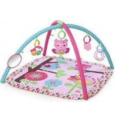 PINK CHARMING CHIRPS ACTIVITY GYM 22