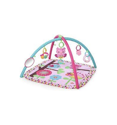 PINK CHARMING CHIRPS ACTIVITY GYM 22