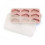 BOTM YUMMY TRAY BLUSH 23