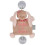 BABY ON BOARD SASHA 241