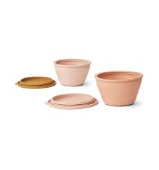 DALE FOLDABLE BOWL SET ROSE MULTI MIX 21