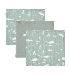 DEBARBOUILLETTES OCEAN/ PURE MINT 21