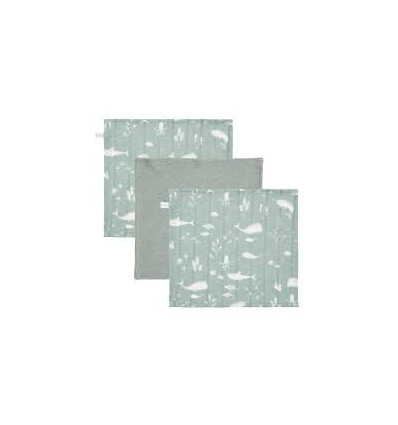 DEBARBOUILLETTES OCEAN/ PURE MINT 21