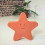MOES STARFISH 221
