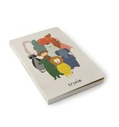 LIFT-THE-FLAP BOOK 25