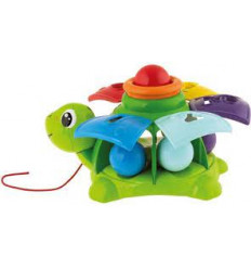 TURTLE SORT&SURPRISE 24